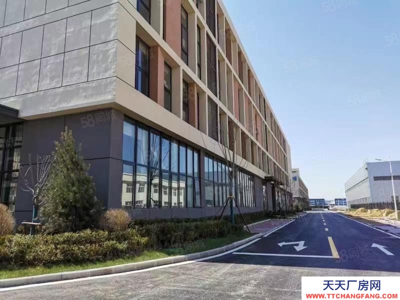 青島膠州大產權定制廠房首層8.1米