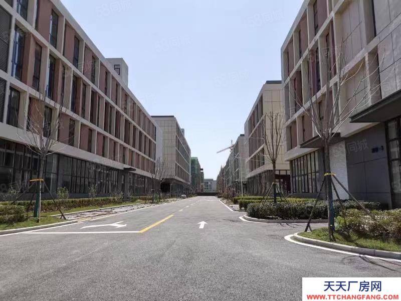 青島膠州大產權定制廠房首層8.1米