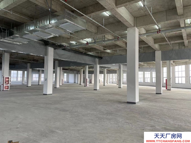 (出租) 安徽肥東縣撮鎮(zhèn)鎮(zhèn)大彭路2W平方廠房招租