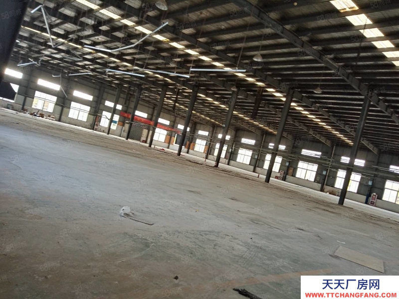 (出租) 合肥蜀山3500平鋼結構廠房，需要生產型企業