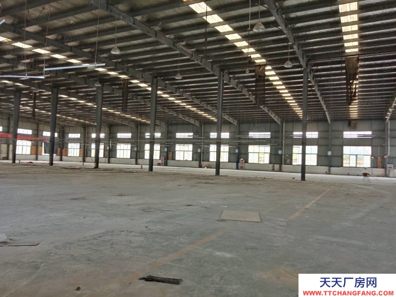 (出租) 合肥蜀山3500平鋼結構廠房，需要生產型企業