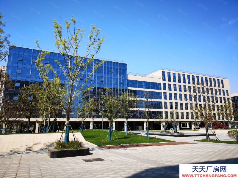 (出租)合肥蜀山 研發(fā)廠房辦公樓出租政府園區(qū)招商可辦環(huán)評