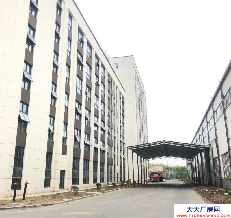 (出租) 合肥蜀山經開主干道上獨棟1001平標準廠房 ，場地寬敞