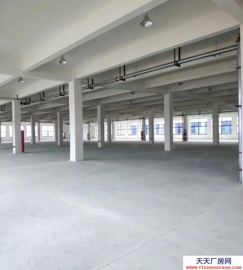 (出租) 合肥蜀山經開主干道上獨棟1001平標準廠房 ，場地寬敞