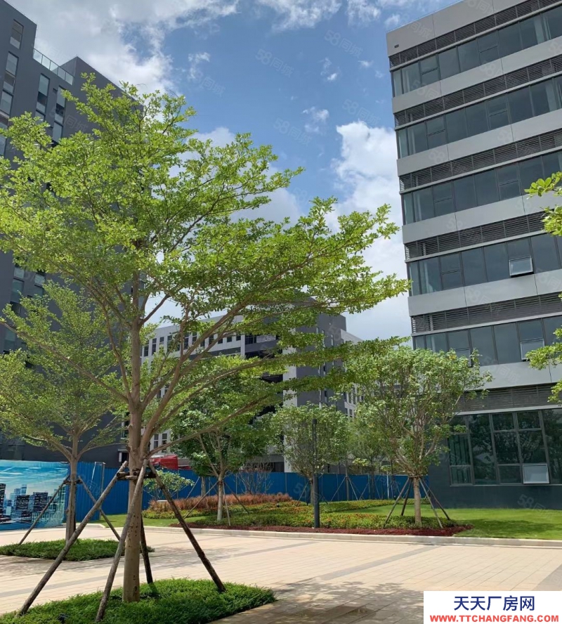 (出售) 深圳南山科技園獨院廠房23000平出售 可舊改