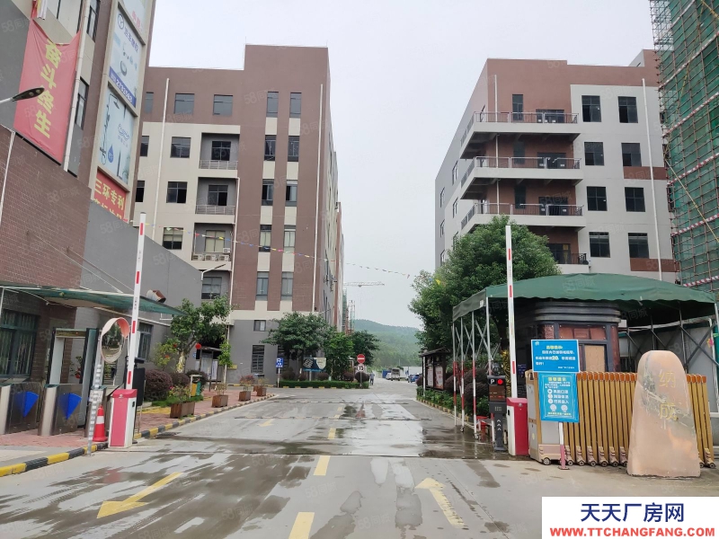 (出售) 深圳南山水口高速國道附近鋼混全新環評廠房租售南山