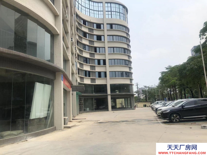 南寧市西鄉(xiāng)塘區(qū)(出租) 科興路6號 全新毛坯房，可做廠房、寫字樓、辦公樓