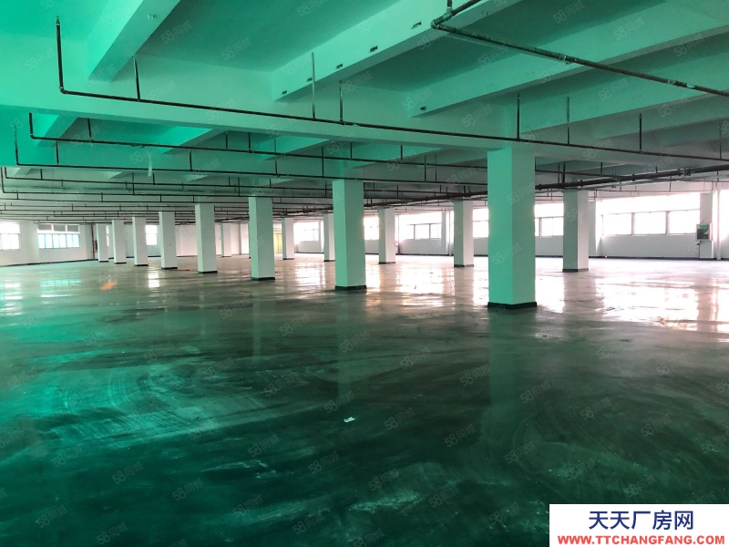 (出租) 深圳寶安石巖高速出口獨(dú)棟廠房7800平，工業(yè)園帶噴淋招租可分租