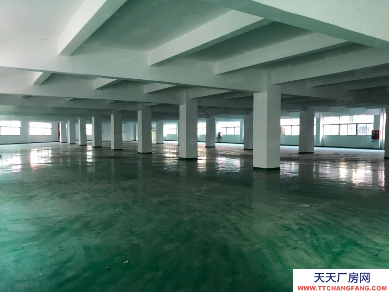 (出租) 深圳寶安石巖高速出口獨棟廠房7800平，工業園帶噴淋招租可分租