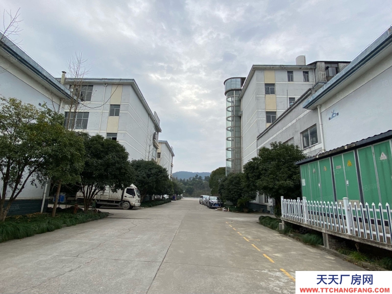 杭州建德(出租) 高速口 標準廠房 帶精裝辦公 整棟出租