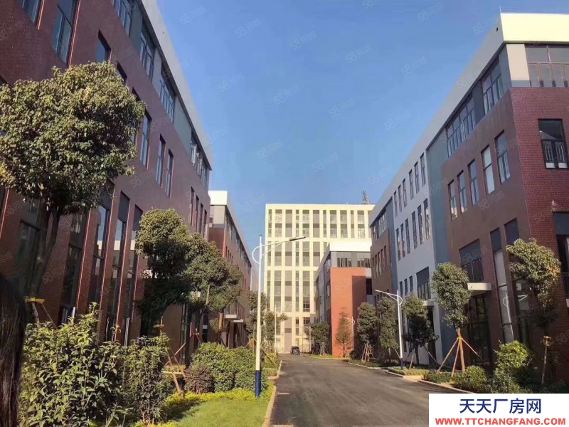 (出售) 合肥蜀山首開8.1米挑高兩層獨棟花園廠房，五十年獨立產權