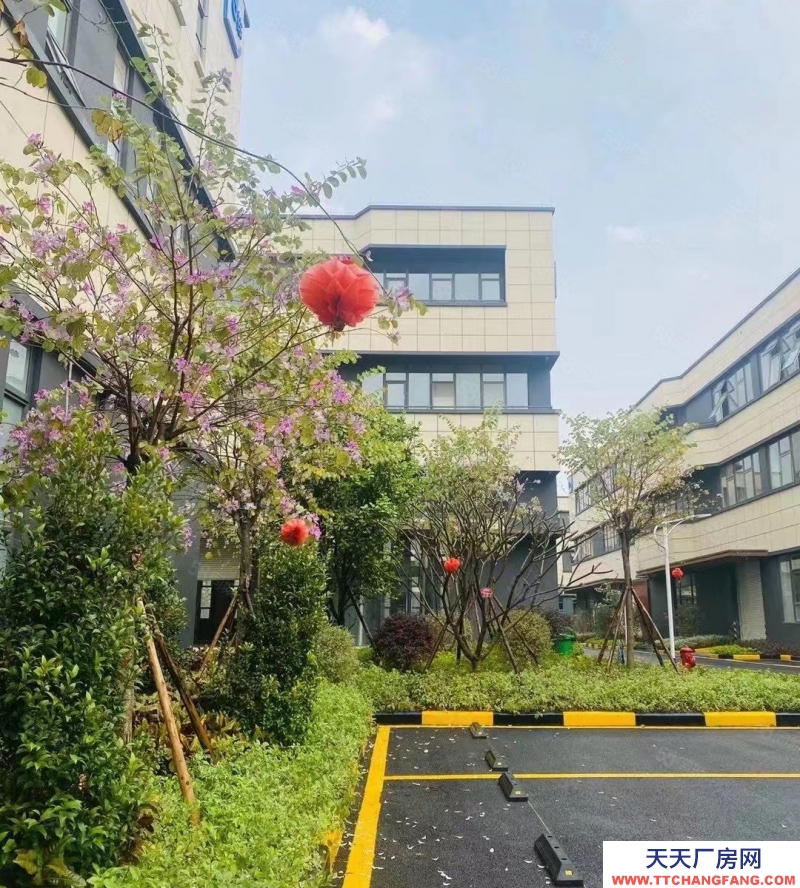 (出售) 合肥蜀山小廟核心經濟示范區，首層8.1米，可架行車，超低價格