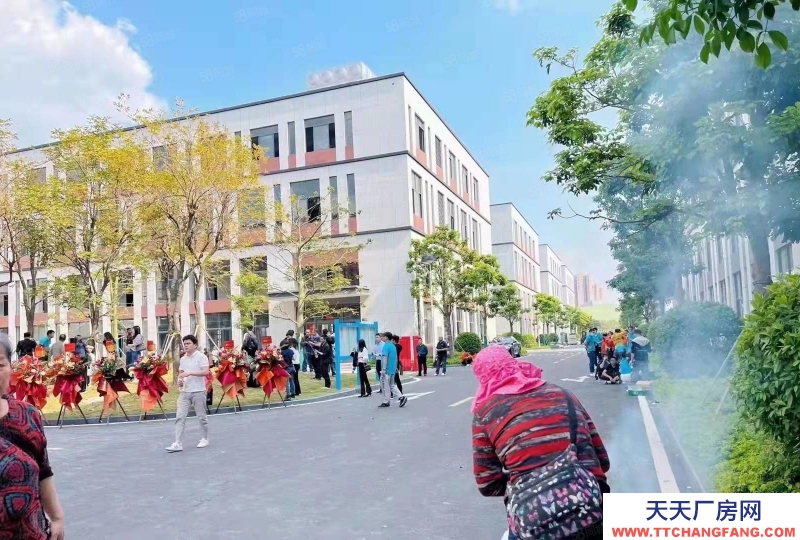 (出售) 合肥廬陽筑巢引鳳！政府重點項目！打造產(chǎn)業(yè)集群！核心地段！配套齊全！