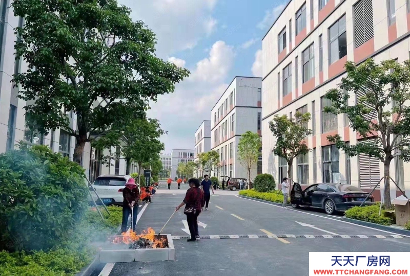 (出售) 合肥廬陽筑巢引鳳！政府重點項目！打造產(chǎn)業(yè)集群！核心地段！配套齊全！