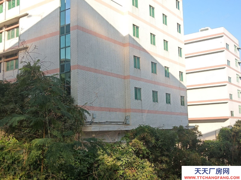 (出售) 深圳寶安大工業區紅本廠房出售