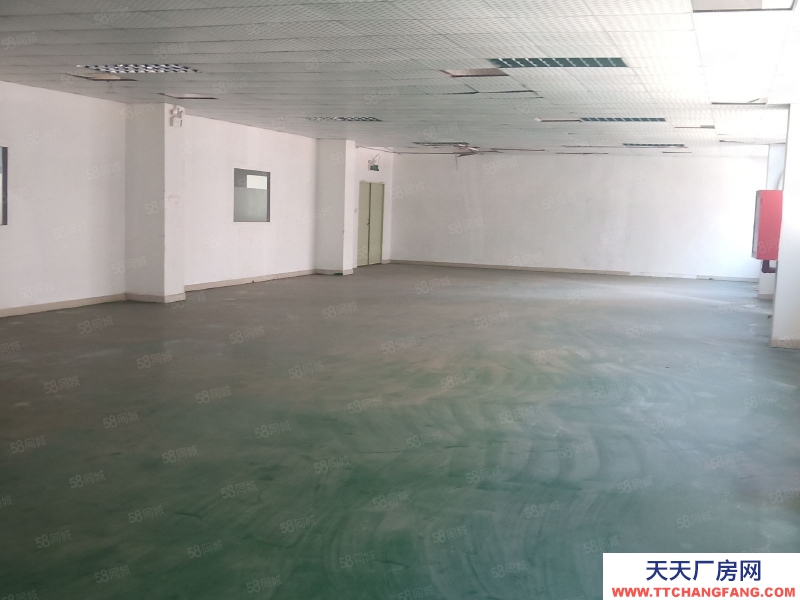 (出售) 深圳寶安大工業區紅本廠房出售