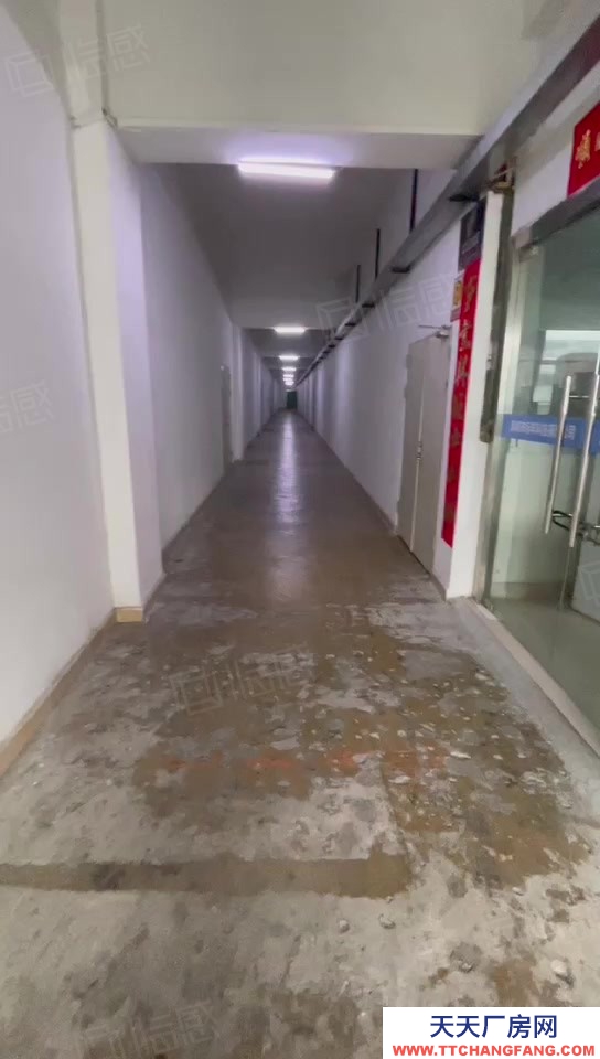 (出售) 深圳寶安石巖外環(huán)路邊 紅本獨(dú)院廠房21735.36平 未來(lái)可更新