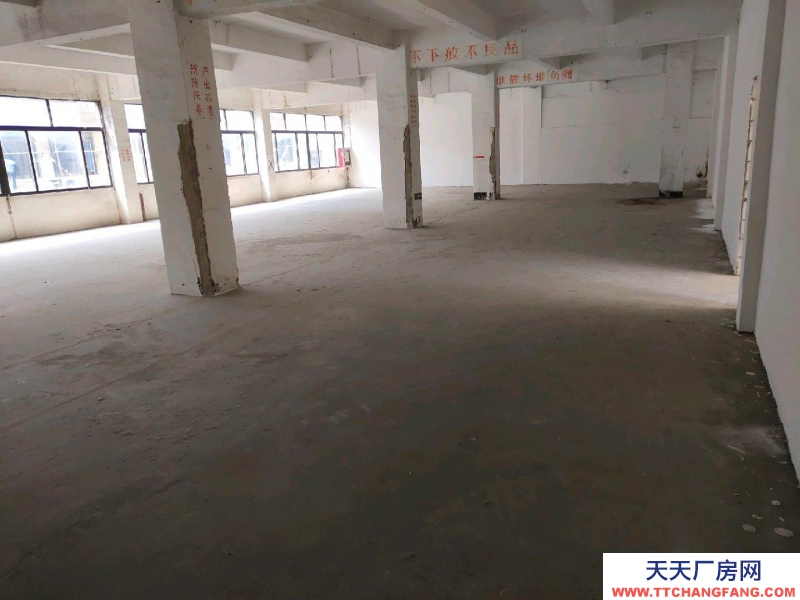 (出租) 深圳鹽田獨院廠房,車位充足。