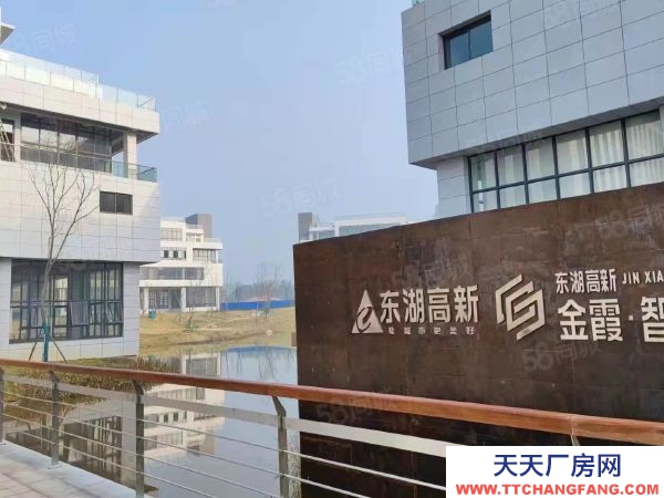 長沙市開福區生物醫藥行業醫療器械產業園區辦公廠房出售