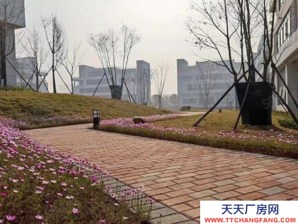 長(zhǎng)沙市開(kāi)福區(qū)生物醫(yī)藥行業(yè)醫(yī)療器械產(chǎn)業(yè)園區(qū)辦公廠房出售