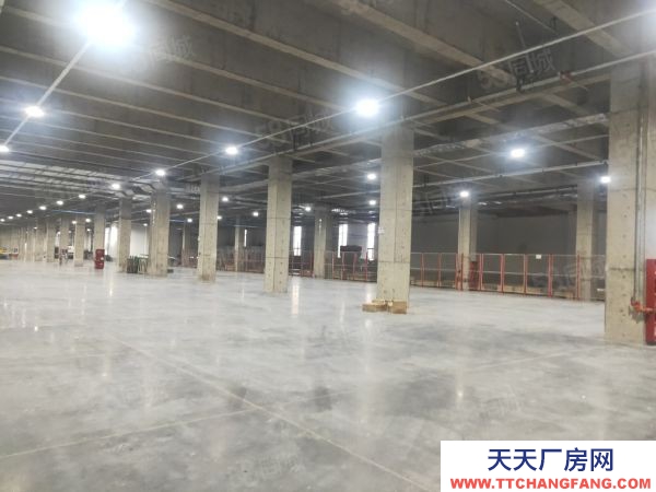 南京市溧水開發區 2000平起租 層高7.8米交通方便