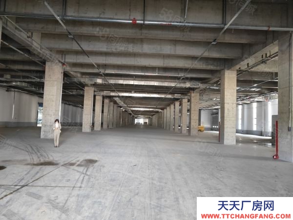 南京市溧水開發區廠房倉庫20000平 帶月臺 金剛砂地坪 價格便宜