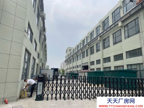 南京市潥水縣永陽全新多層8000平2和3樓每層2000平層高4.5米