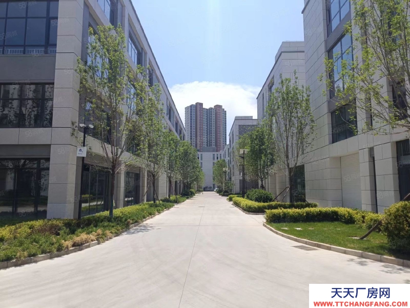 石家莊 藁城 特價廠房現房出售！經濟開發區獨棟廠房，證件齊全有環評