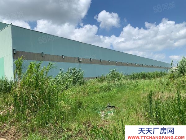 南京市溧水石湫工業(yè)廠房出售 土地70畝廠房20000平售5200萬