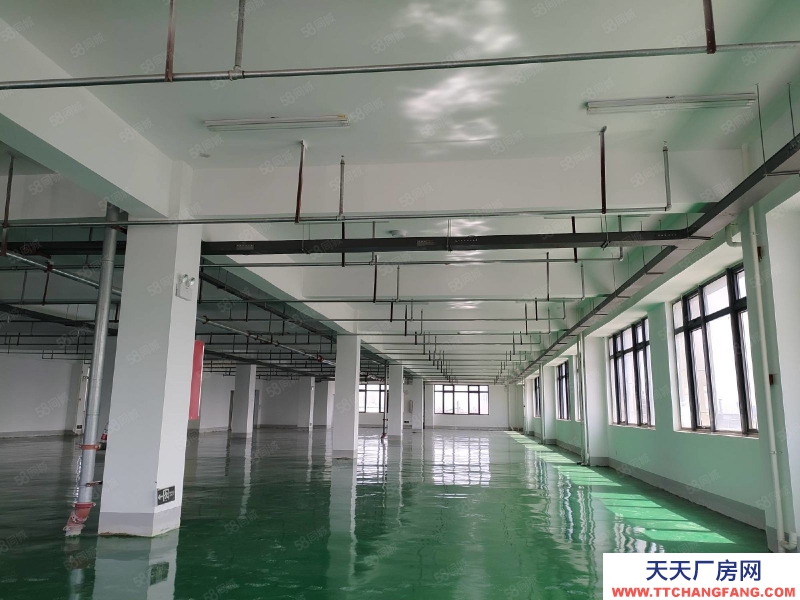 (出租) 合肥瑤海新站區全新廠房環氧地面2500平400平起租