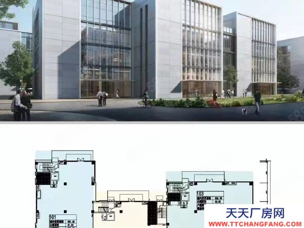 長沙市芙蓉區 電子商務金融服務農業科技生物醫藥總部經濟集聚地廠房