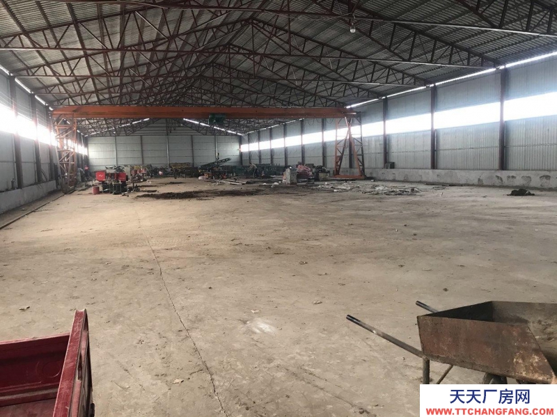 石家莊 晉州 緊臨晉總公路鋼結構廠房