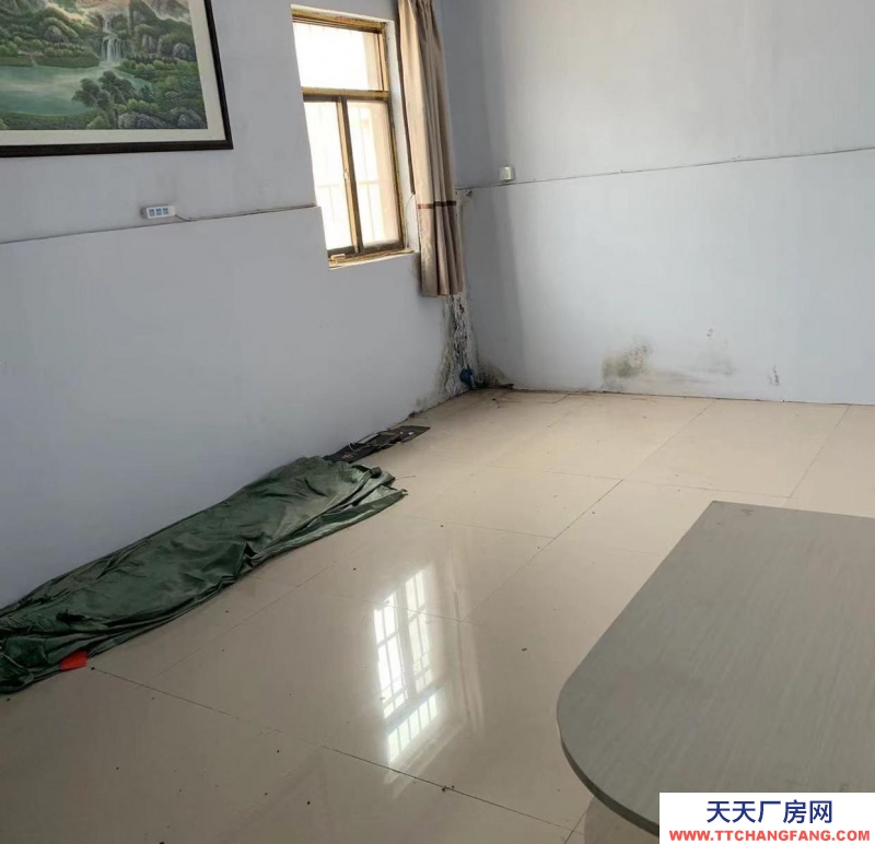 石家莊 晉州 辦公室10個單間，可辦公，直播電商