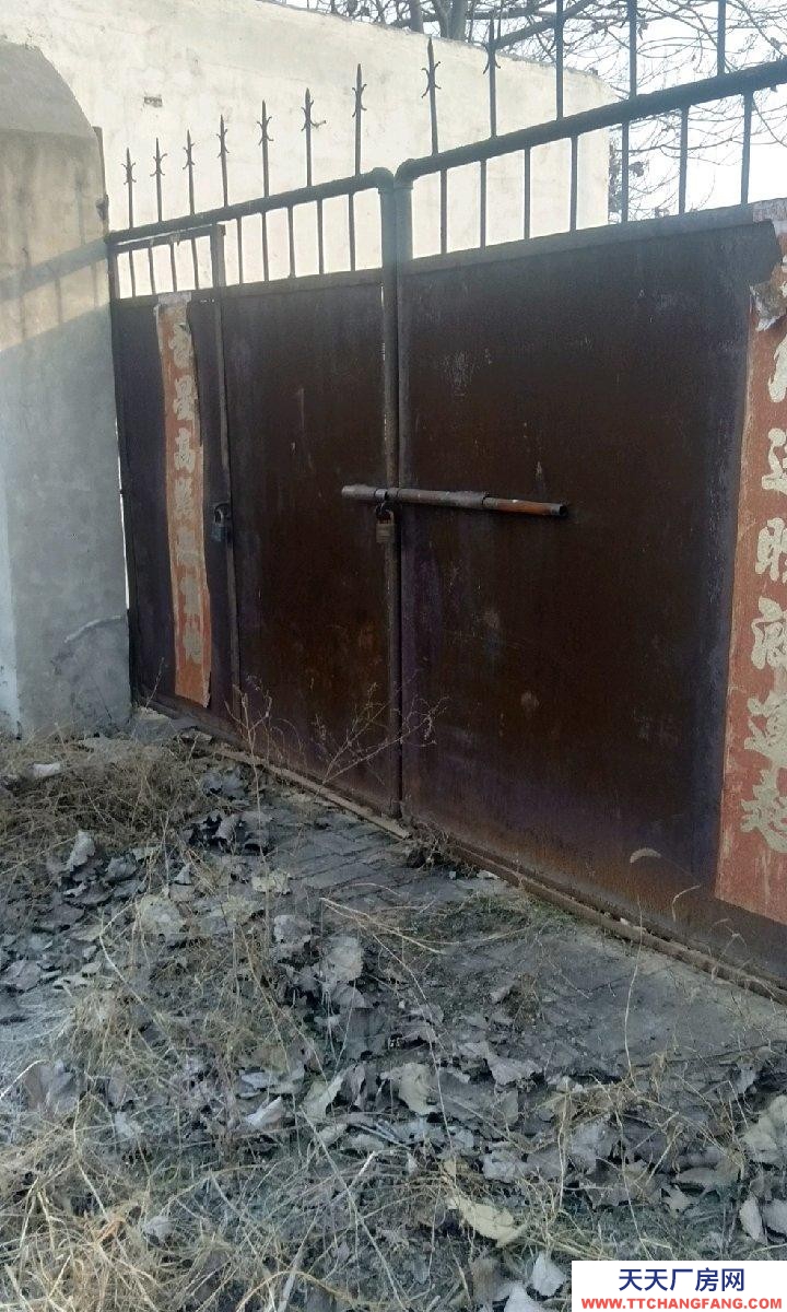 石家莊 晉州 車間。宿舍，無塔供水，變壓器，交通便利