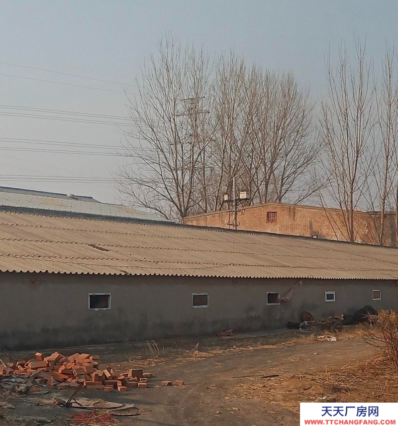 石家莊 晉州 宿舍，辦公，均可。遠離村莊，環境美好！歡迎新老客戶朋友，前來實地了解查看