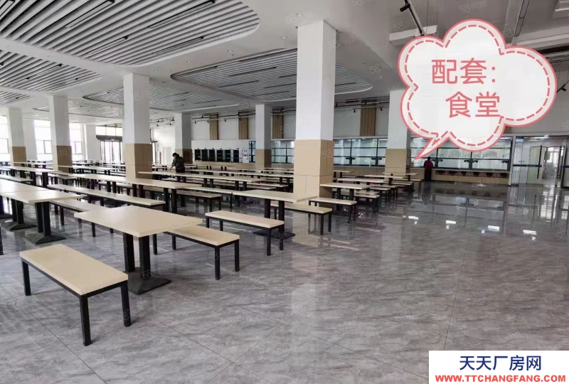 石家莊 鹿泉 獨棟廠房,承載企業(yè)總部,高鐵,高速,南三環(huán),主干道沿線