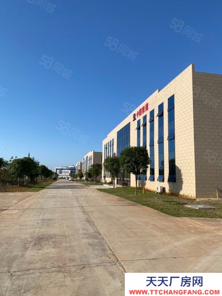 長沙市寧鄉區 整租分租單層11米5000平獨棟廠房