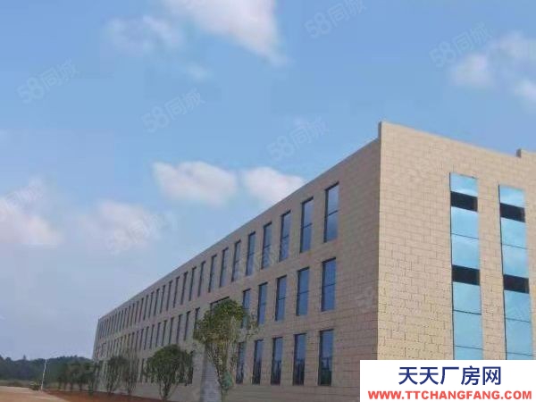 長沙市寧鄉區 整租分租單層11米5000平獨棟廠房