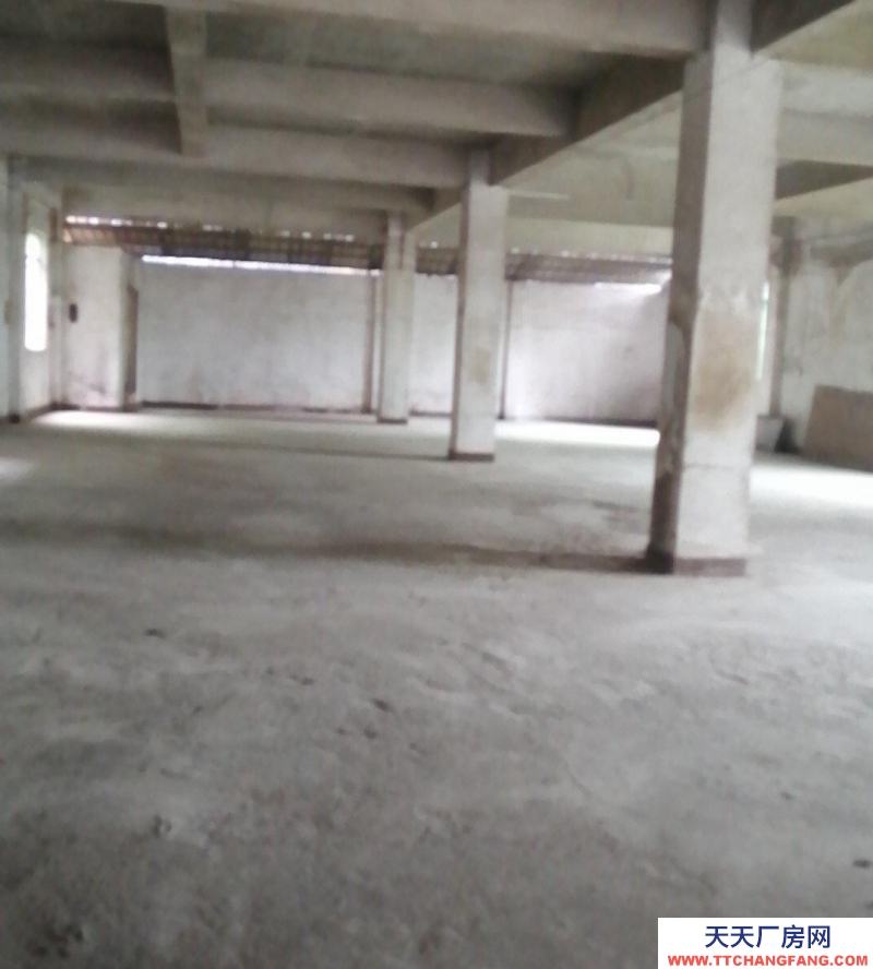 南寧市西鄉塘區(出租) 個人房源，直接出租，直接房東