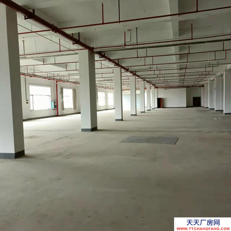 南寧市西鄉塘區(出租) 高新區標準廠房、倉庫出租，大車出入方便，交通便利