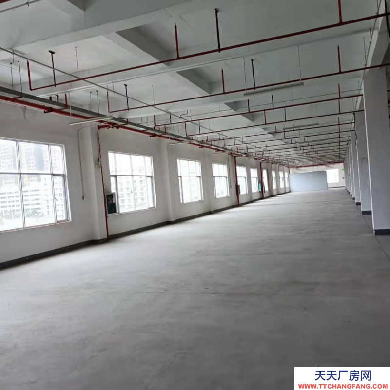 南寧市西鄉塘區(出租) 高新區標準廠房、倉庫出租，大車出入方便，交通便利