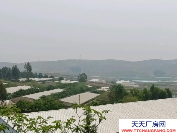 (出租) 大型標準化養(yǎng)豬場出租