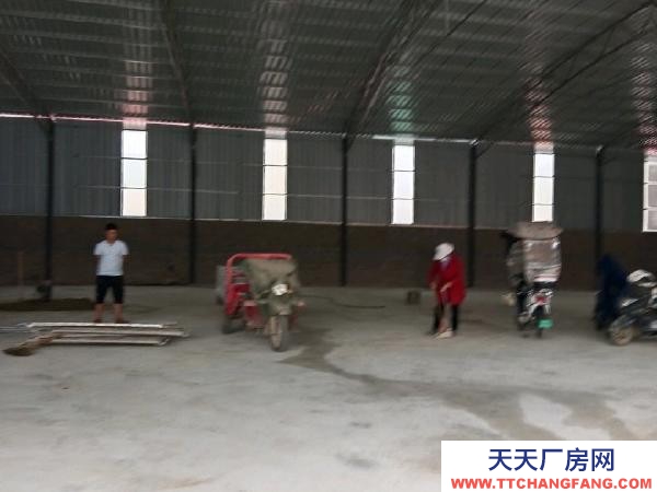 (出租) 廠房可以出租或出售，看后面談