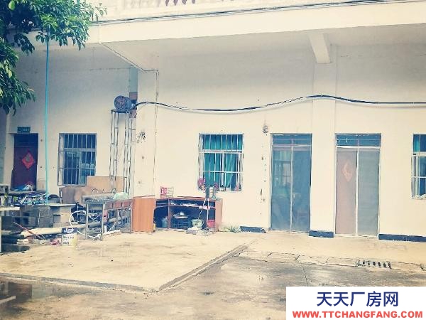 (出租) 廠房可以出租或出售，看后面談