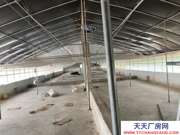 (出租) 紅河自己養雞，了，交通水電都方便，周邊無污染環境