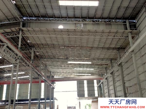 (出租) 大商會旁，和平村，水電路三通，可做大型廠房，大型倉庫紅河