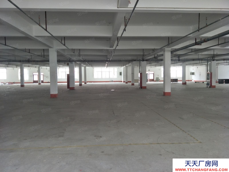 青島萊西4萬平車間及40畝空地分割出租