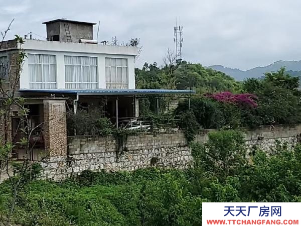 (出租) 出租文山市州政府片區