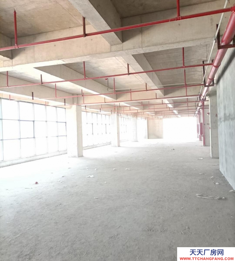 (出租) 瑤海區獨棟廠房16000平招租（中介勿擾）