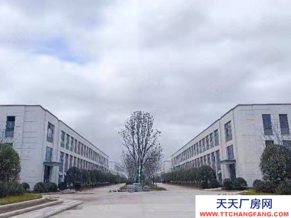 長沙市瀏陽區 2層！3層！獨棟！出售！開發直招！